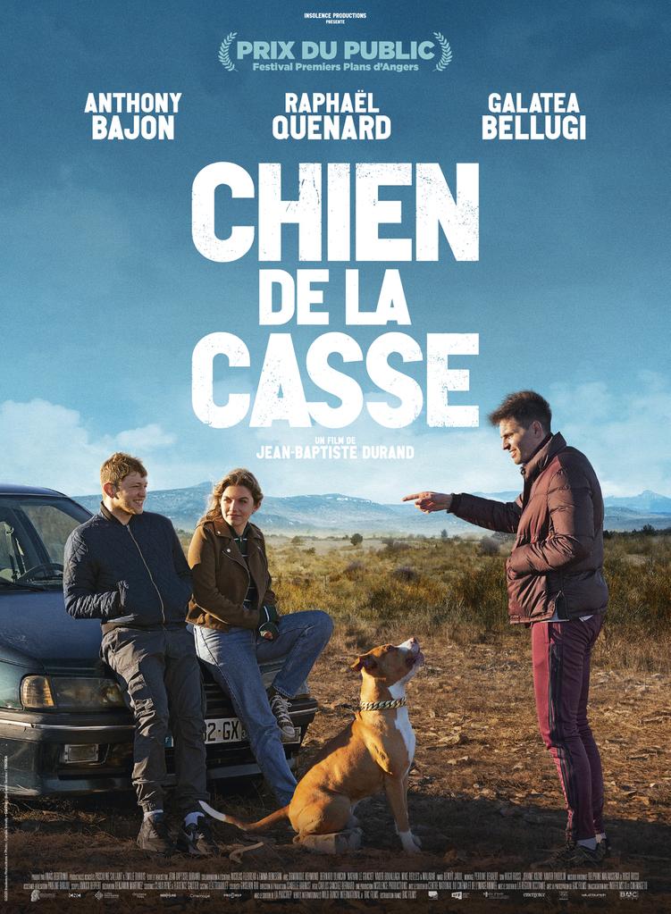 chien-de-la-casse