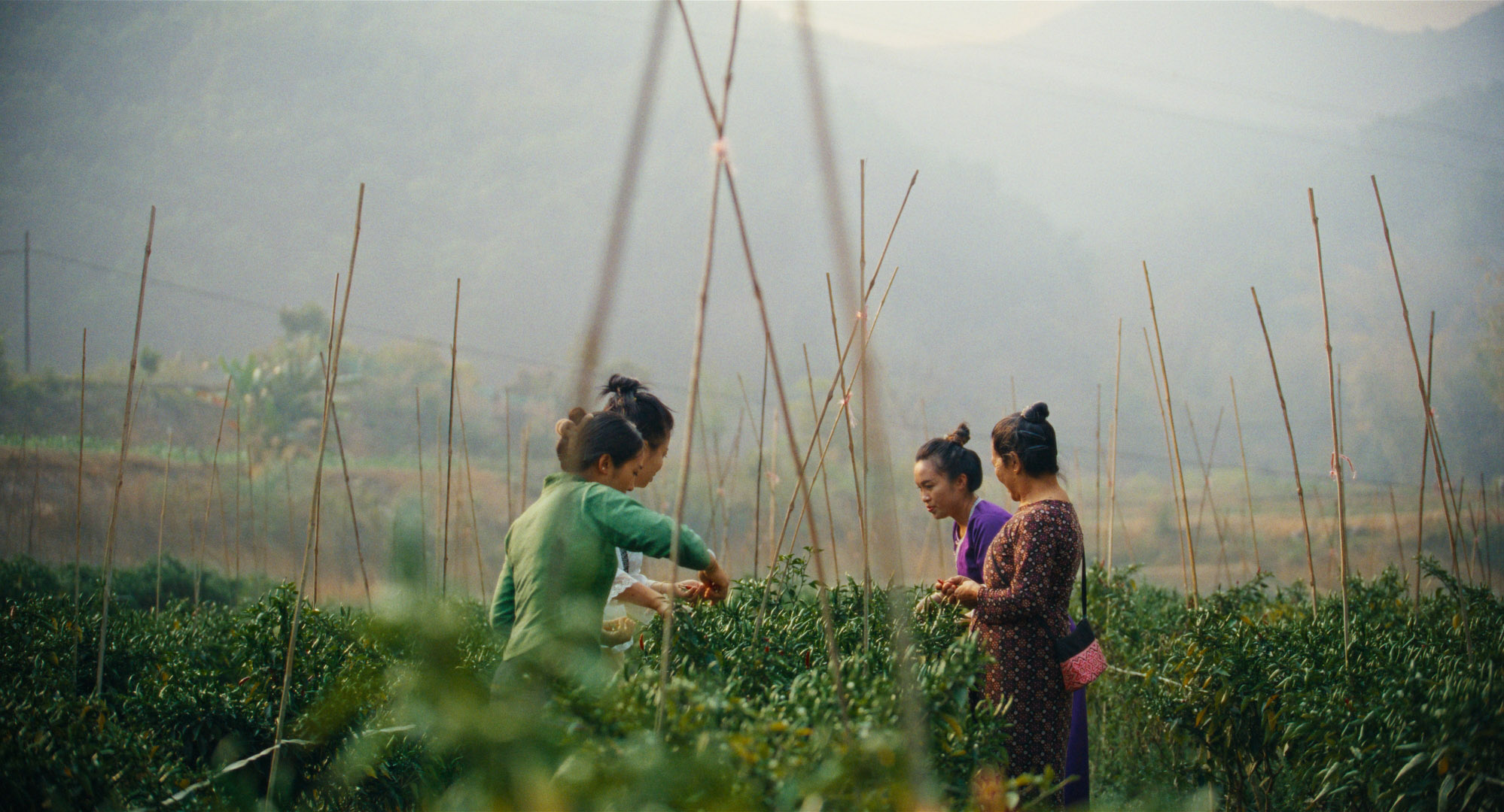 GUERLAIN – WOMEN FOR BEES