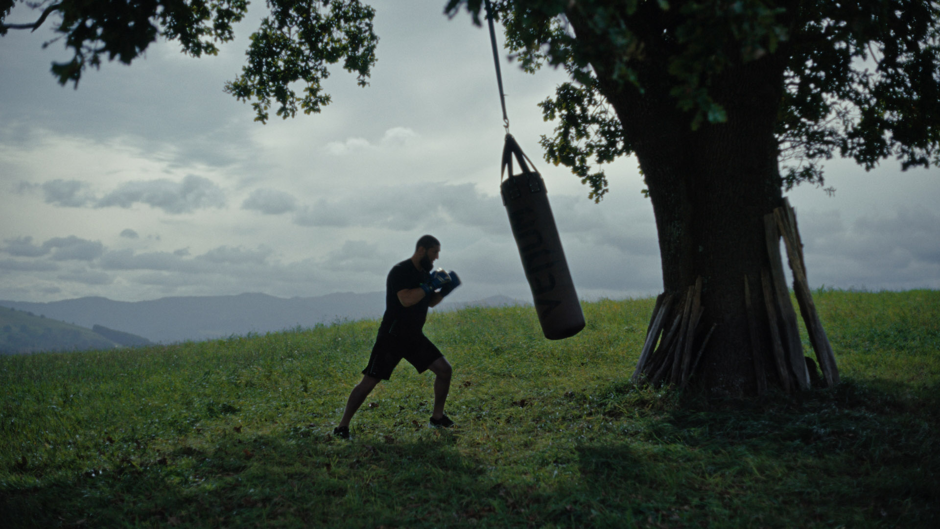 Still 2025-10-22 155528_1.38.1