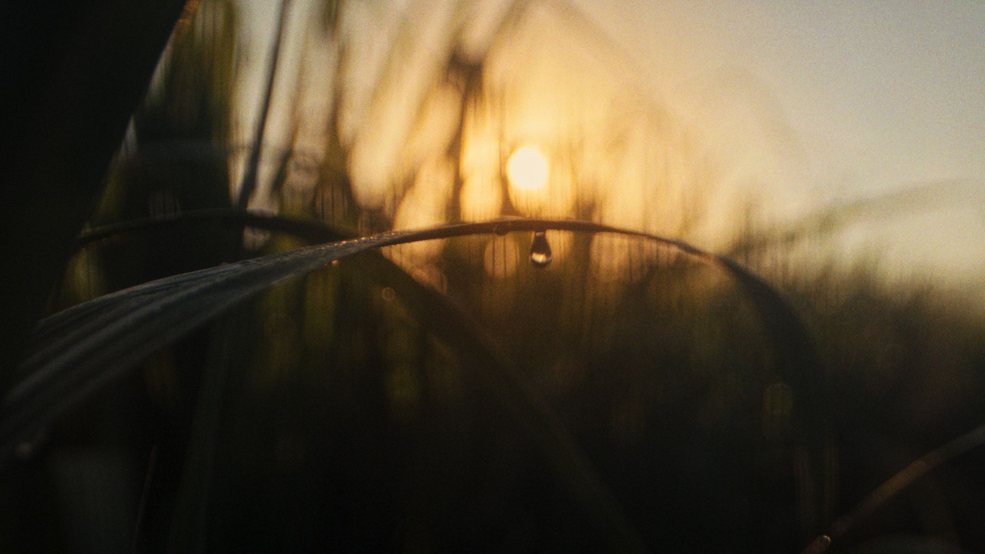 Barbancourt-2026-01-21 175441_1.12.1