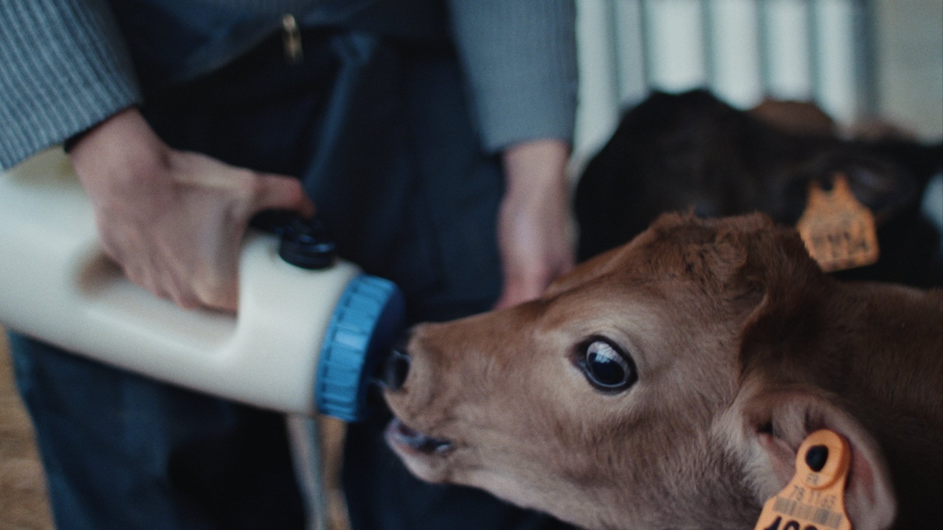 credit-agricole-la-releve.7_credit-agricole-la-releve.7