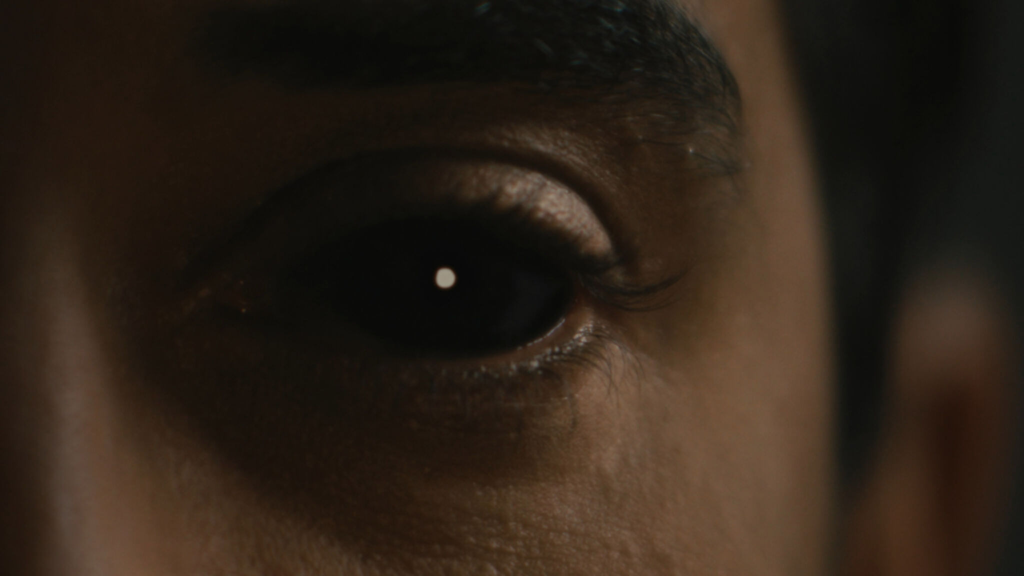 A friend of ours_1.1.12.T